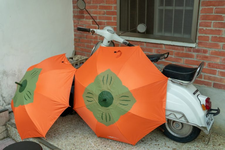 Eco-Friendly Travel Gear for Sustainable Adventures